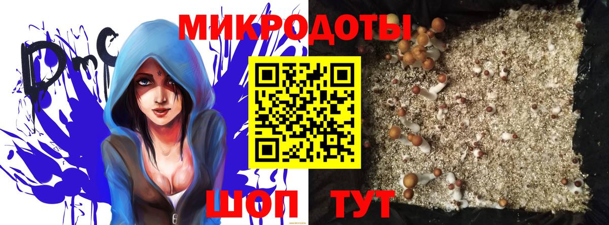 Артёмовский  Галлюциногенные грибы ЛСД  Вход с VPN  Галлюциногенные грибы ЛСД 